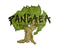 Pangaea / Scout's 1 Mile Group Run - Greenville, SC - genericImage-websiteLogo-244874-1736013844.728-0.bNExGu.jpg