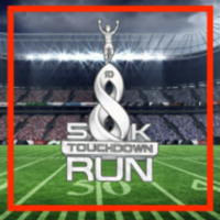 Touchdown Run - Naples, FL - race49449-logo.bAejrJ.png