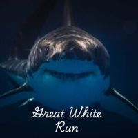 We're  Gonna Need a Bigger Finish Line - Great White Run 5K, 10K, & Half Marathon - Santa Monica, CA - genericImage-websiteLogo-244743-1735795014.5175-0.bNDIfg.jpg