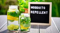 DIY Mosquito Repellent Candles - Coronado, CA - genericImage-websiteLogo-245768-1736983494.8657-0.bNIepg.jpg