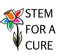 Stem for a Cure 5k - Dayton, OH - genericImage-websiteLogo-247426-1738934960.9755-0.bNPGQW.jpg