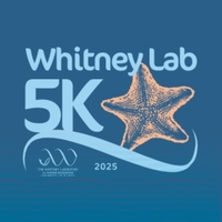 Whitney Lab 5K - Saint Augustine, FL - genericImage-websiteLogo-247469-1739374927.2273-0.bNRmfp.jpg