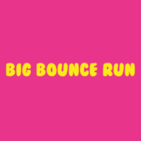 Big Bounce Run - Albany, NY - Pattersonville, NY - 082da5f0-5b65-4e1a-bfb1-ae9c1904230d.png