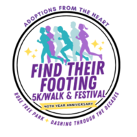 Find Their Footing 5K - Media, PA - Footing_Logo.png