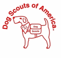 DSA's 30 in 30 - Saint Helen, MI - genericImage-websiteLogo-252062-1744286714.633-0.bN97p6.jpg