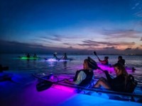Glow Paddle - San Diego, CA - genericImage-websiteLogo-252680-1745261308.0998-0.bObPl8.jpg