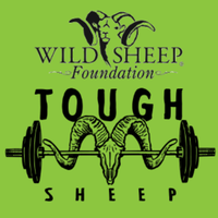 TOUGH SHEEP on RACEPLACE.com TOUGH SHEEP - Reno, NV - genericImage-websiteLogo-232832-1722291029.3319-0.bMQbnv.png