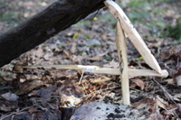 Kids Survival Skills: Crafting Hunting Tools - San Diego, CA - genericImage-websiteLogo-254510-1747331738.9108-0.bOjIQA.jpg