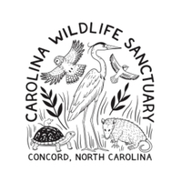 Chickadee Chase on RACEPLACE.com Chickadee Chase - Concord, NC - genericImage-websiteLogo-255157-1748346998.7509-0.bOnAH2.jpg