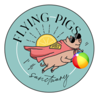 THE DOG DAYS OF SUMMER TRAIL RACE TO BENEFIT FLYING PIGS ANIMAL SANCTUARY on RACEPLACE.com THE DOG DAYS OF SUMMER TRAIL RACE TO BENEFIT FLYING PIGS ANIMAL SANCTUARY - Grandview, TN - genericImage-websiteLogo-255677-1748994542.719-0.bOp4NU.png