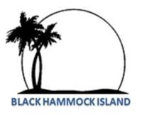BHI 1st Annual 5K & Fun Run - Jacksonville, FL - genericImage-websiteLogo-255942-1749429439.8681-0.bOrIY_.png