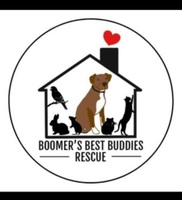 Run for Rescues - Sterling, CT - genericImage-websiteLogo-256103-1749573365.6063-0.bOsf71.jpg