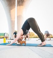 Puppy Yoga - Coronado, CA - genericImage-websiteLogo-256172-1749664791.4062-0.bOsCqx.jpg