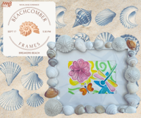 Beachcomber Frames - Coronado, CA - genericImage-websiteLogo-258242-1752528046.4158-0.bODxsU.png