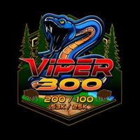 Viper 300 - Memphis, TN - viper-300-logo.jpg