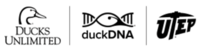 duckDNA Application Portal on RACEPLACE.com duckDNA Application Portal - Memphis, TN - genericImage-websiteLogo-254939-1752766725.6067-0.bOErKf.png