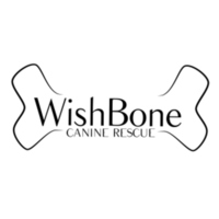 Howl-O-Ween Hustle - Normal, IL - genericImage-websiteLogo-262492-1757422409.0113-0.bOWcnj.jpg