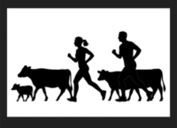 Soil Mates Trail Race - Thomaston, GA - genericImage-websiteLogo-263695-1758325793.7765-0.bOZEWH.jpg
