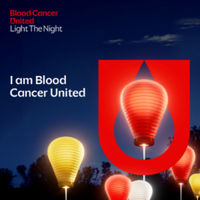 Light the Night - Kansas City - Overland Park, KS - genericImage-websiteLogo-238781-1759242486.6142-0.bO2-J2.png