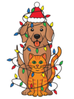 Lights 4 Paws - Coward, SC - genericImage-websiteLogo-264313-1759409202.5186-0.bO3NqY.png