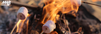 Kids Survival Skills: Fire Crafting and Safety - San Diego, CA - genericImage-websiteLogo-264106-1758733021.7909-0.bO1clD.png