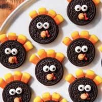 Camp Gobble Gobble on RACEPLACE.com Camp Gobble Gobble - Coronado, CA - genericImage-websiteLogo-237564-1726165231.6055-0.bM4ZdV.png