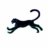 United South HS Panther Band 5k Run & Walk - Laredo, TX - ab420e34-fffd-4118-bb37-cf1d47a2a337.jpg