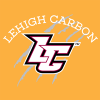 Run with the Cougars: Virtual Winter 5K - Schnecksville, PA - genericImage-websiteLogo-268549-1764106880.0961-0.bPjIka.png