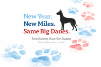 Resolution Run for Danes 2026 - Bullard, TX - genericImage-websiteLogo-270690-1766585342.9219-0.bPs_p-.png