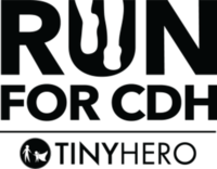 Houston Run for CDH - Houston, TX - genericImage-websiteLogo-269321-1765492386.261-0.bPo0AI.png