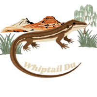 Whiptail Duathlon - Vail, AZ - genericImage-websiteLogo-271306-1767744382.3125-0.bPxAn-.png