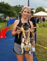 THe Dunedin Dog n' Suds Summer 5K At HOB Brewing Company In Downtown Dunedin - Dunedin, FL - genericImage-websiteLogo-271370-1767801666.9667-0.bPxOnc.jpg