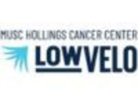 LOWVELO Mock Up - Charleston, SC - genericImage-websiteLogo-250921-1742923780.785-0.bN4UGe.jpg