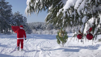 Frosty Forest 5k - Stratford, CT - genericImage-websiteLogo-272258-1768585909.5516-0.bPANQ1.png