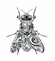 2026 WCA Black Fly Blitz 5k - Wilmot, NH - genericImage-websiteLogo-272309-1769640552.3374-0.bPEPjO.jpg