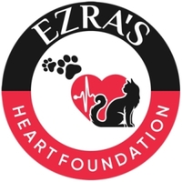 Strides for Paws Virtual 5K Walk/Run 2026 - Anywhere, NY - genericImage-websiteLogo-274128-1770589543.9544-0.bPIq1N.jpg