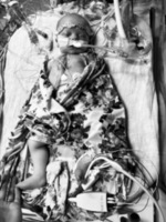 Running for Elsie's Heart - Hayesville, NC - genericImage-websiteLogo-276908-1772831865.1044-0.bPQ0r5.jpg