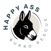 River & Rails Donkey Dash - Cambridge, ID - genericImage-websiteLogo-274105-1773297508.3856-0.bPSL9K.png