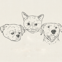 Pepper's Purple Promise - Lakewood, OH - genericImage-websiteLogo-279076-1774809252.5327-0.bPYxcK.png