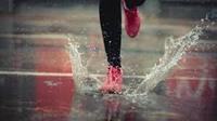 Rain Day 5k - Waynesburg, PA - genericImage-websiteLogo-278882-1774473629.248-0.bPXfgD.jpg