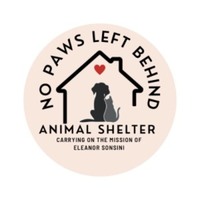 Tails on the Trail 5K - Williamstown, MA - genericImage-websiteLogo-276793-1772745545.0183-0.bPQFnj.jpg