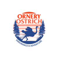 Phoenix Area Run Club - Phoenix, NY - genericImage-websiteLogo-280311-1776281739.3006-0.bP3-Il.jpg