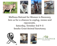 Wellness Retreat for Women in Recovery - Barre, MA - genericImage-websiteLogo-280576-1776519780.9204-0.bP44PK.png