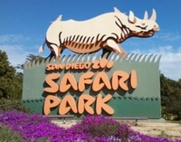Meet at: Safari Behind the Scenes Tour - Escondido, CA - genericImage-websiteLogo-257132-1750959840.0956-0.bOxyBG.jpg