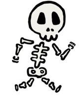 Project Mayhem Racing - Trail & OCR Jam 2026 - Beaver Falls, PA - genericImage-websiteLogo-281915-1778104215.4077-0.bP-7Ex.jpg