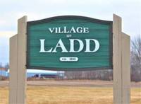 Running For Hope 5k - Ladd Daze - Ladd, IL - genericImage-websiteLogo-282496-1778642645.8119-0.bQa-7v.jpg
