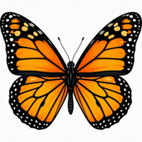 Monarch Migration Run - Norman, OK - genericImage-websiteLogo-284702-1781141595.0648-0.bQkHbB.png