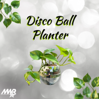 Disco Ball Planter - San Diego, CA - genericImage-websiteLogo-284968-1781563984.4141-0.bQmijq.png
