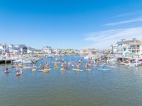 Great OC Lagoon Race - Ocean City, NJ - genericImage-websiteLogo-285327-1782046153.7289-0.bQn93j.jpg