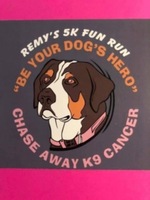 Remy’s Run/Walk - Colo, IA - genericImage-websiteLogo-285514-1782259362.7189-0.bQoX6I.jpg